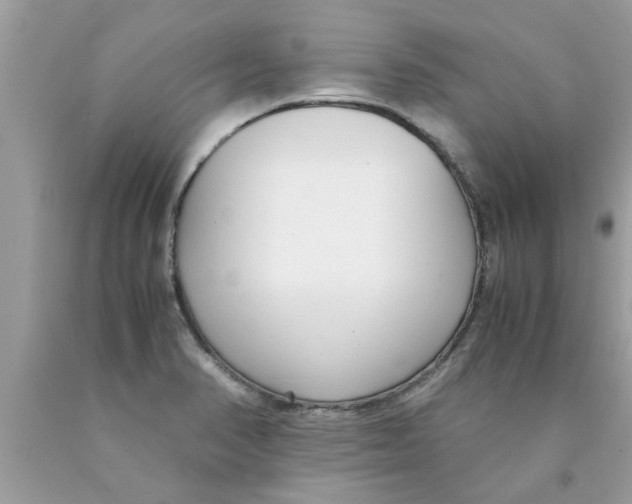 X0000089871374200707262140