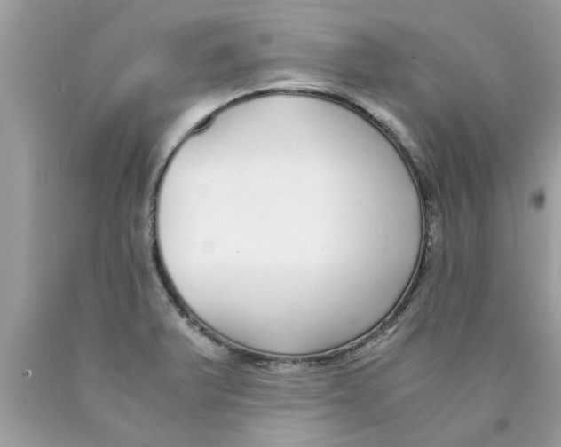 X0000089871375200707262140