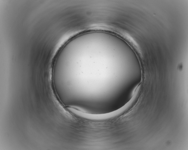 X0000089871376200707262140