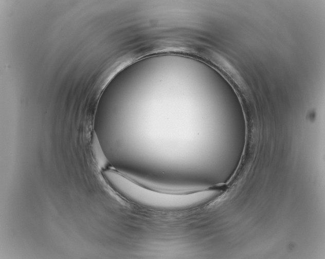 X0000089871377200707262140