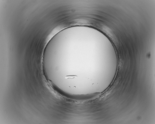 X0000089871378200707262140