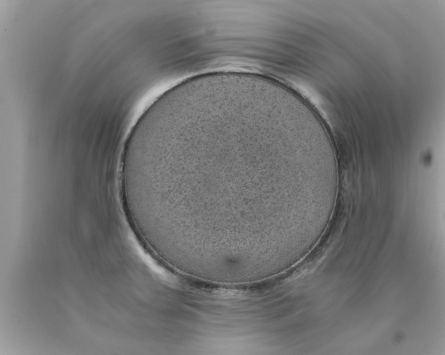 X0000089871379200707262140