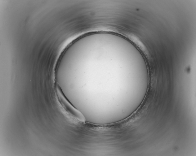 X0000089871380200707262140