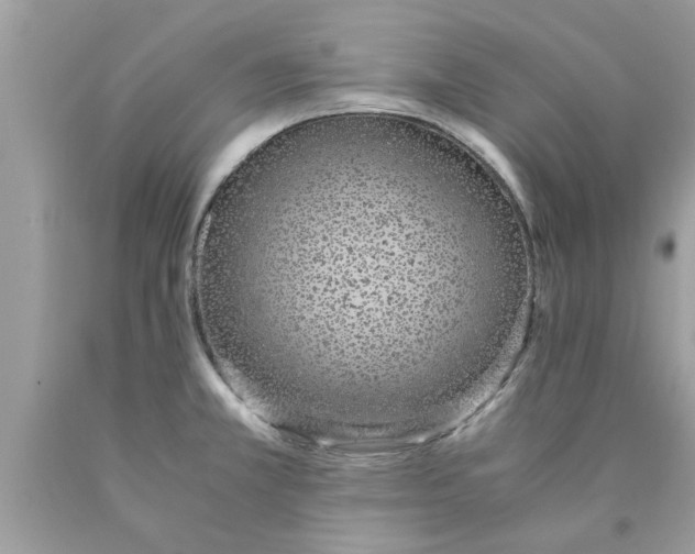 X0000089871381200707262140