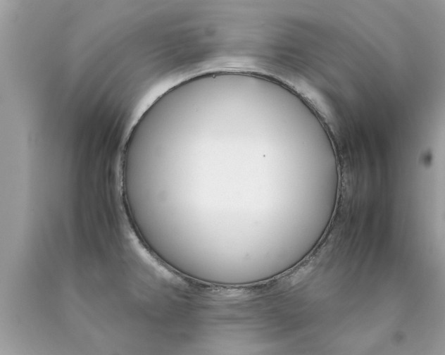 X0000089871382200707262140