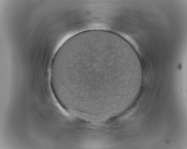 X0000089871383200707262140