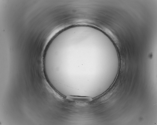 X0000089871384200707262140