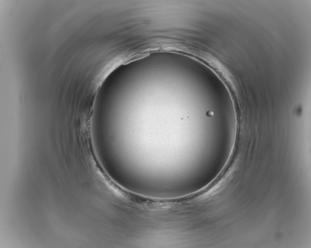 X0000089871385200707262140