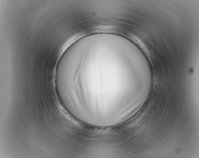 X0000089871386200707262140