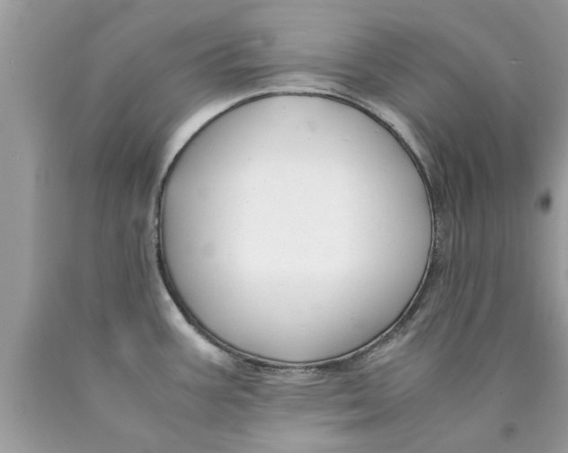 X0000089871387200707262140