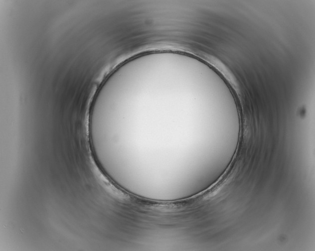 X0000089871388200707262140