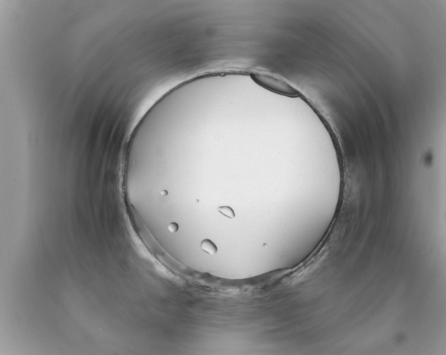 X0000089871390200707262140