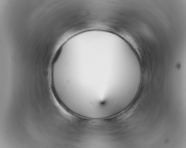 X0000089871391200707262140