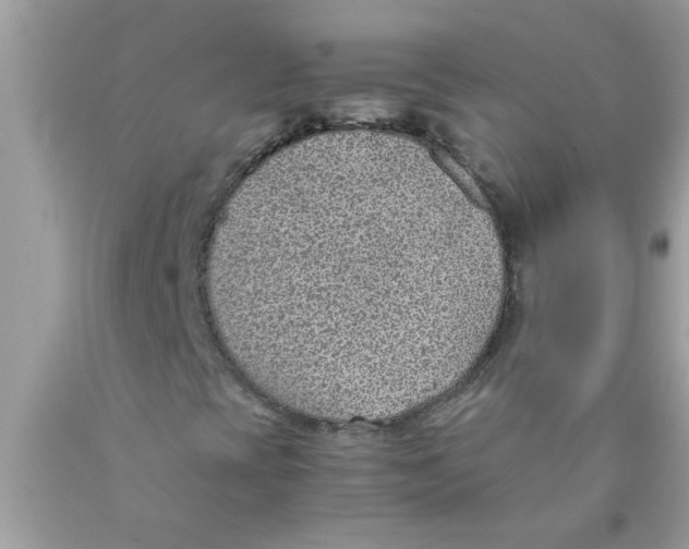 X0000089871393200707262139