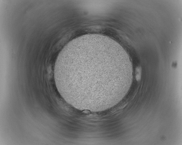 X0000089871395200707262139