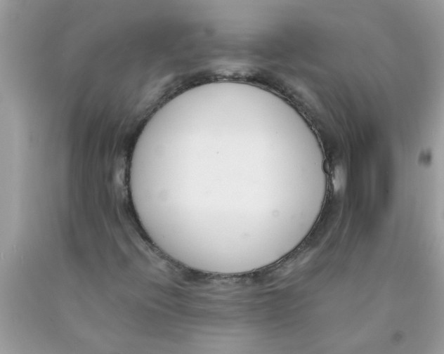 X0000089871396200707262139