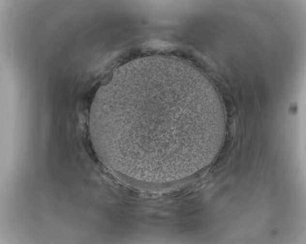 X0000089871397200707262139