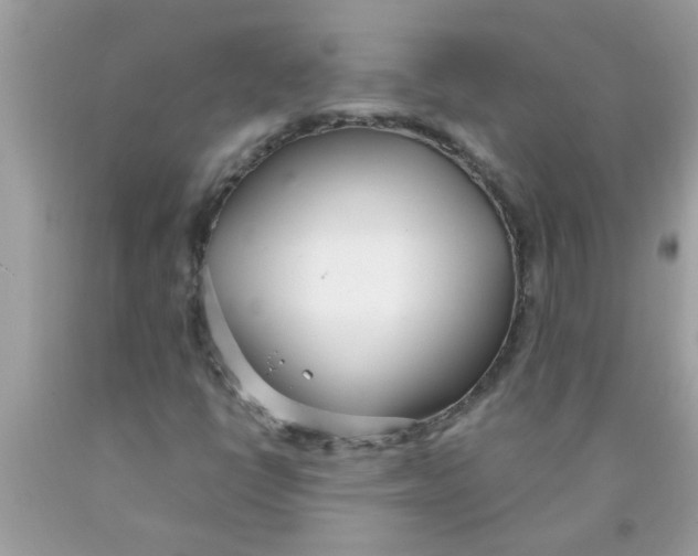 X0000089871398200707262139