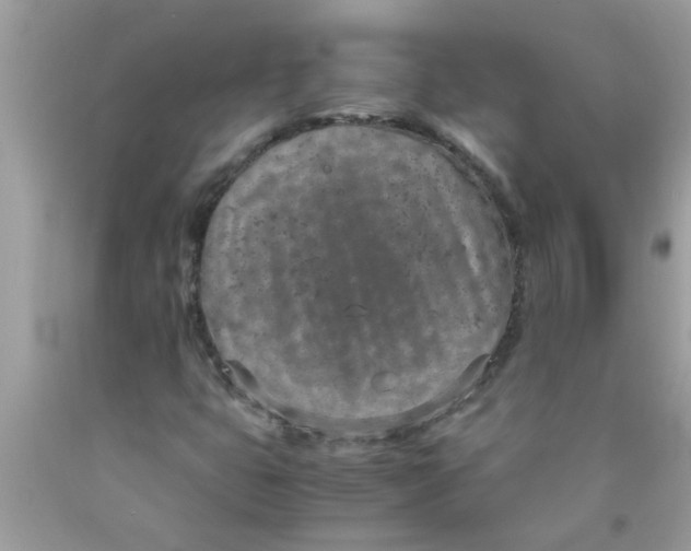 X0000089871399200707262139