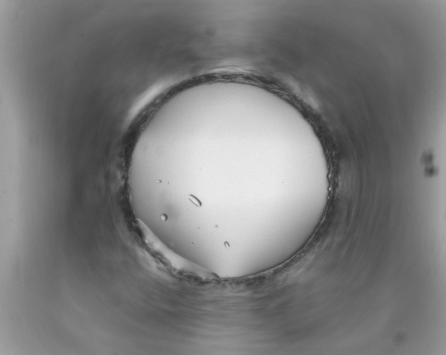 X0000089871400200707262139