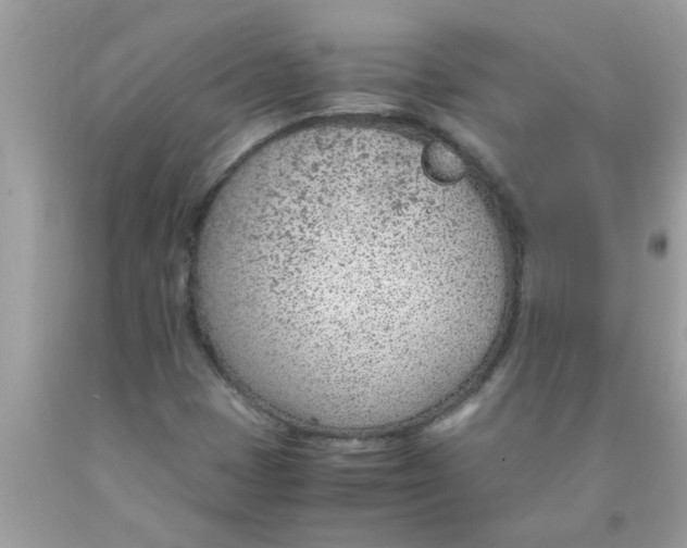 X0000089871401200707262139