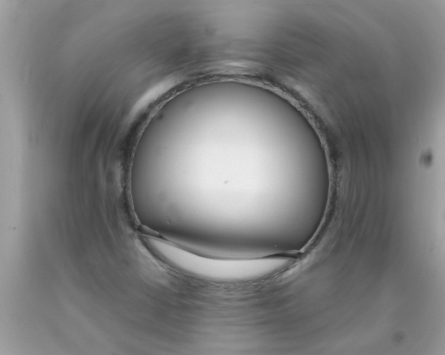 X0000089871402200707262140