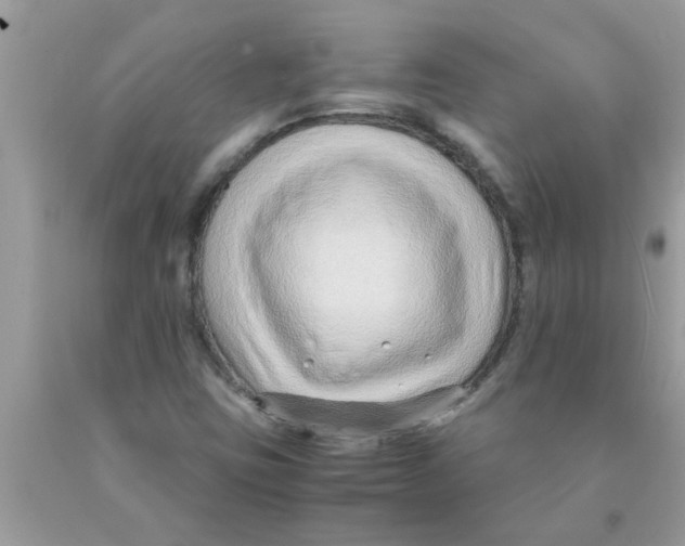 X0000089871403200707262140