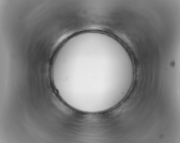 X0000089871404200707262140