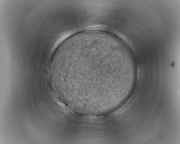 X0000089871405200707262140