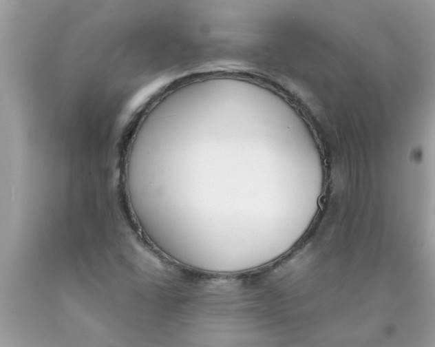 X0000089871406200707262140