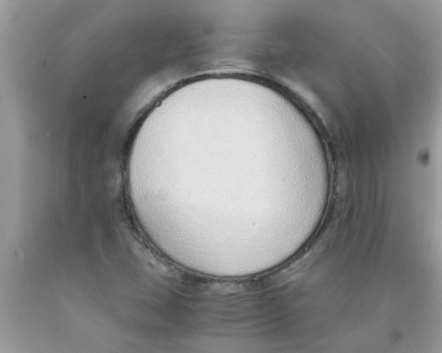 X0000089871407200707262140