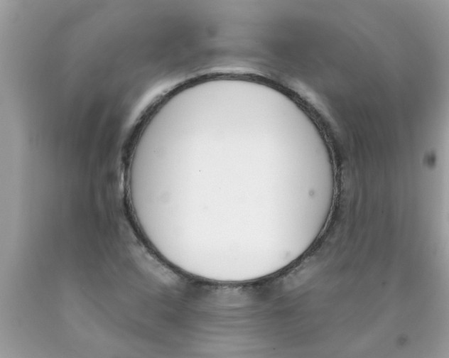 X0000089871408200707262140