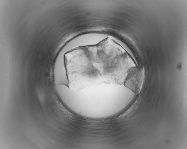 X0000089871409200707262140