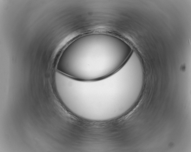 X0000089871410200707262140