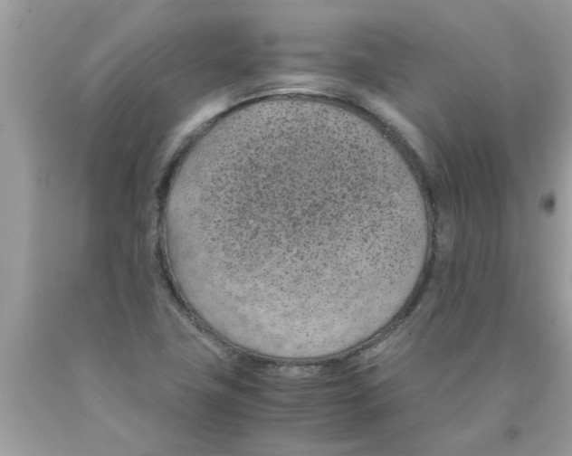 X0000089871411200707262140