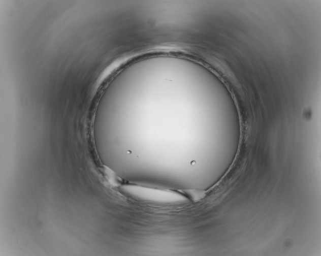 X0000089871412200707262140