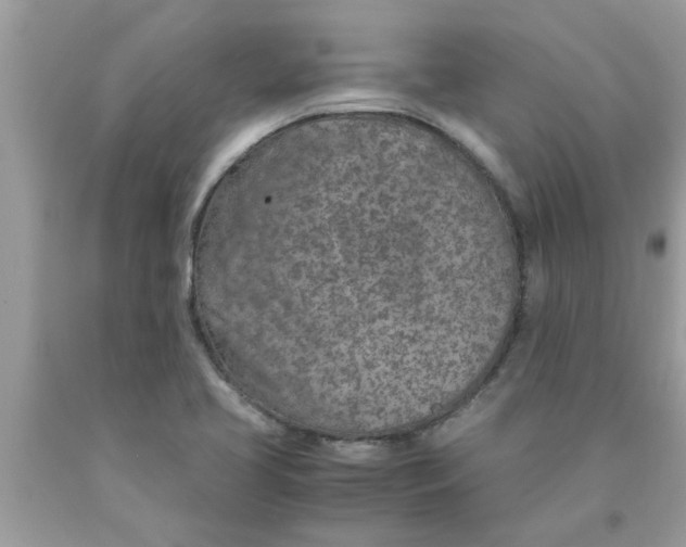 X0000089871413200707262140