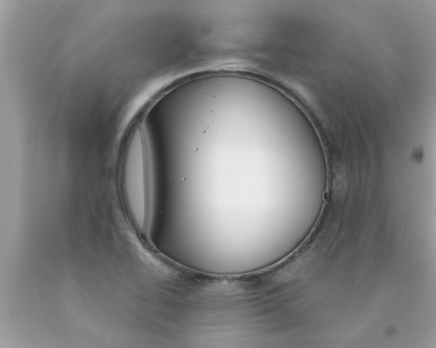 X0000089871414200707262140