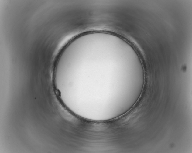 X0000089871416200707262140