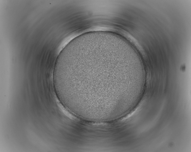 X0000089871417200707262140