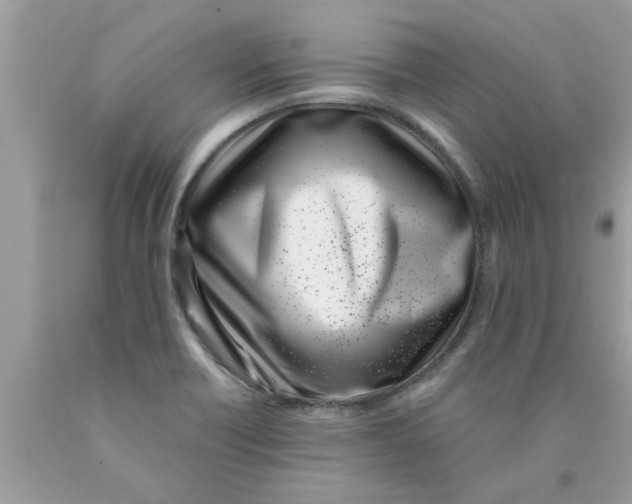 X0000089871418200707262140