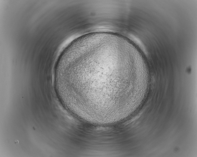 X0000089871419200707262140