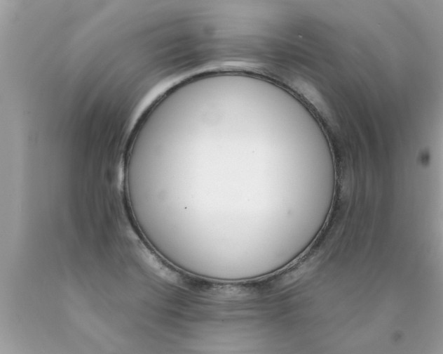 X0000089871420200707262140