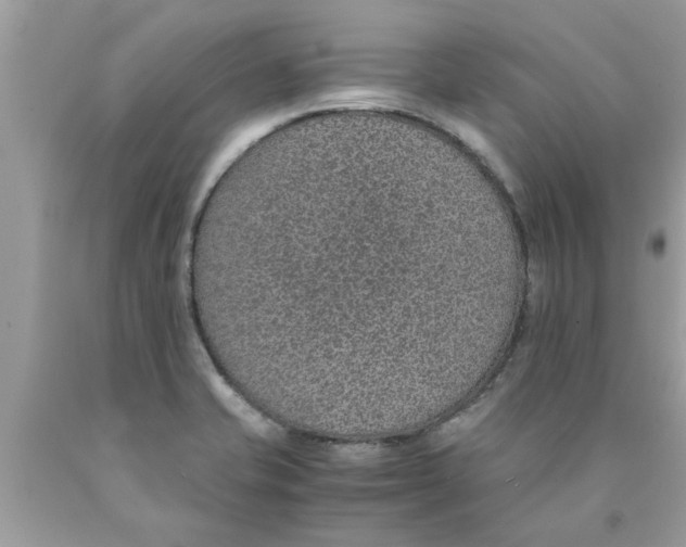 X0000089871421200707262140