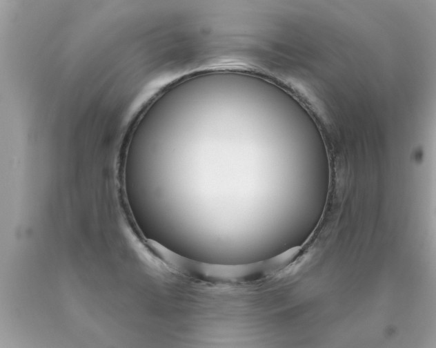 X0000089871422200707262140