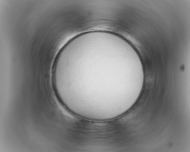 X0000089871423200707262140