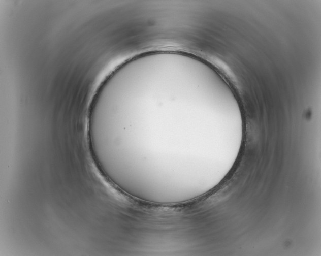 X0000089871424200707262140