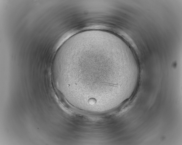 X0000089871425200707262140