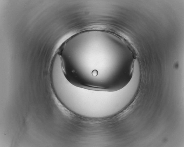 X0000089871426200707262140