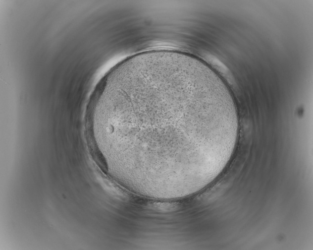 X0000089871427200707262140